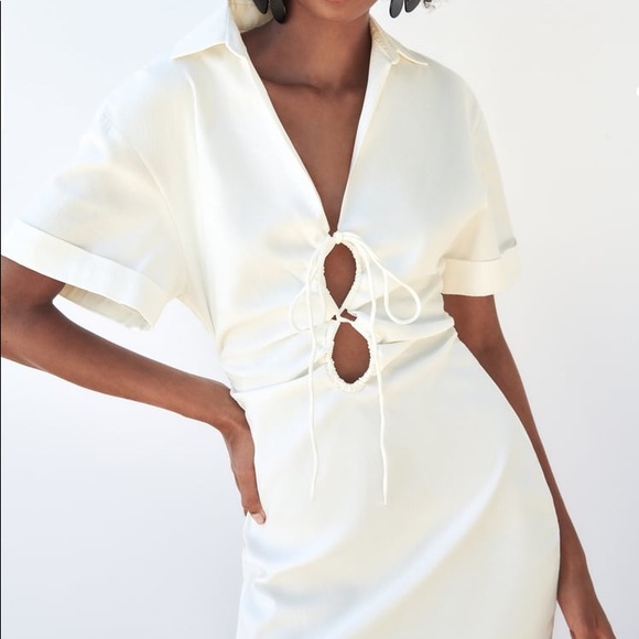 Zara Stretchy Linen Blend Dress - Picture 9 of 15